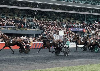 Incertezze sul futuro di Vincennes