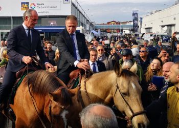 regione veneto