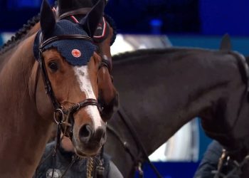 Salto ostacoli: gli azzurri nel fine settimana