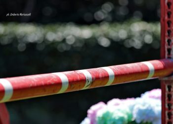 Dalla Svizzera al Messico: tutti gli azzurri in gara