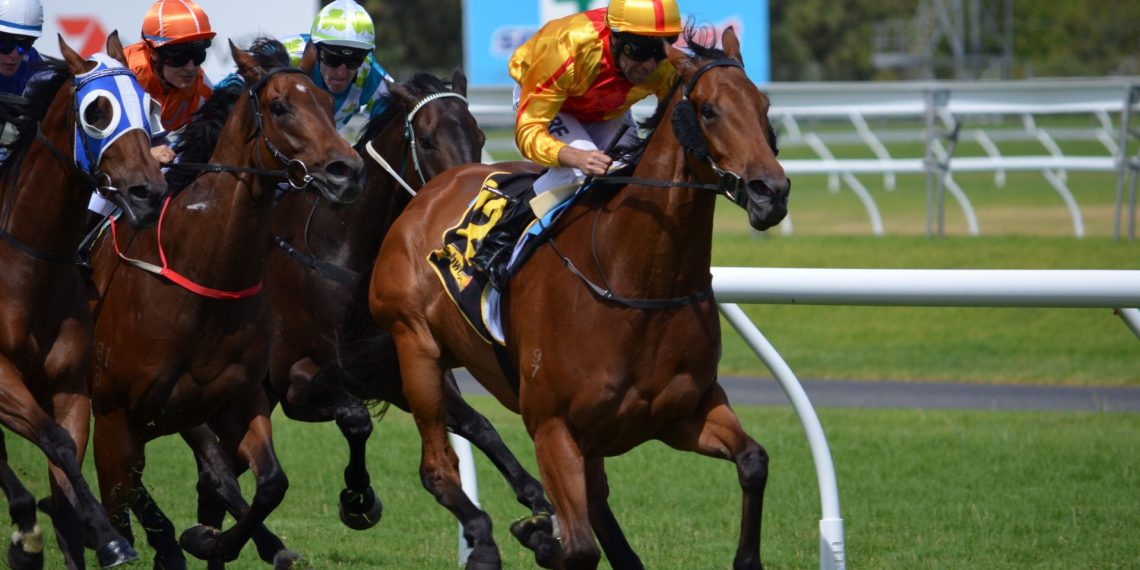 Fairyhouse Easter Festival: festa e corse in Irlanda