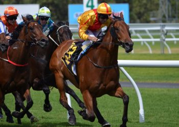 Fairyhouse Easter Festival: festa e corse in Irlanda