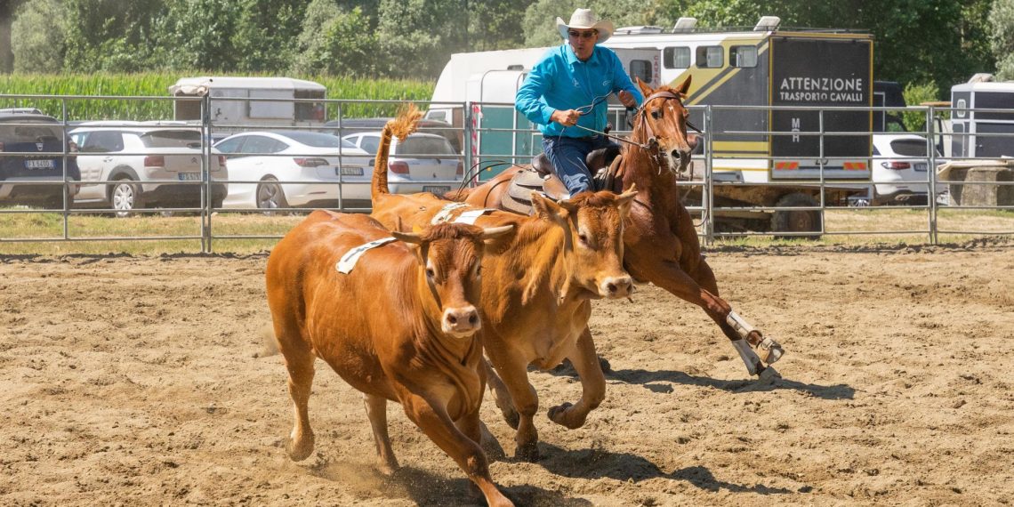 Coppa Italia Team Penning 2025: a Travagliato Cavalli