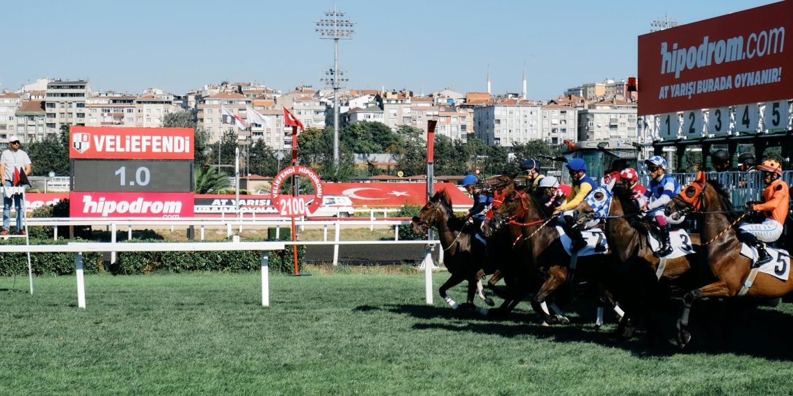 Oltre l’ostacolo del fine carriera: la seconda vita dei cavalli da corsa