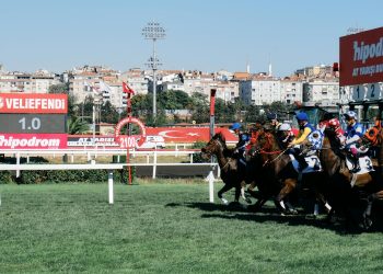 Oltre l’ostacolo del fine carriera: la seconda vita dei cavalli da corsa