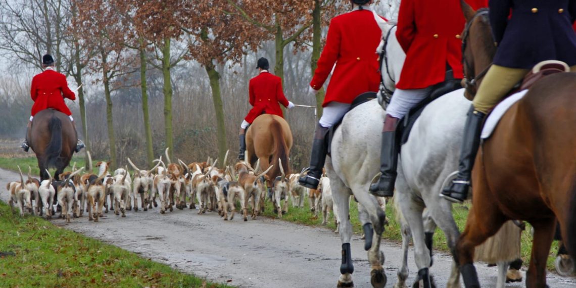 Caccia alla volpe simulata a Pietole: tradizione e sport a cavallo