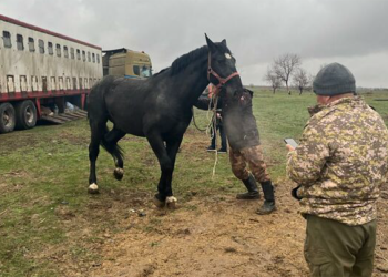 In Kyrgyzstan si costruisce il futuro equestre