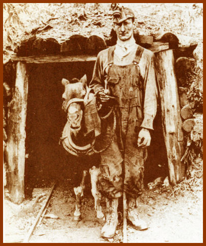 Shetland pony mines