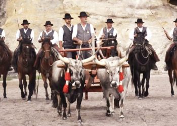 Premio Senofonte, che spettacolo: i vincitori