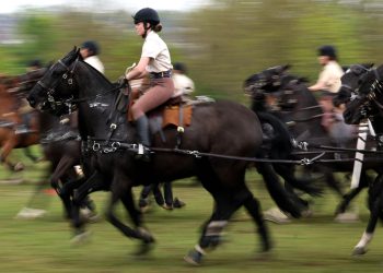 GB, 80° anniversario del V-Day: i preparativi della Royal Horse Artillery