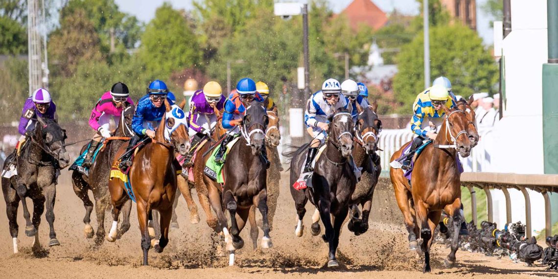 Le Oaks USA
