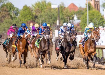 Le Oaks USA