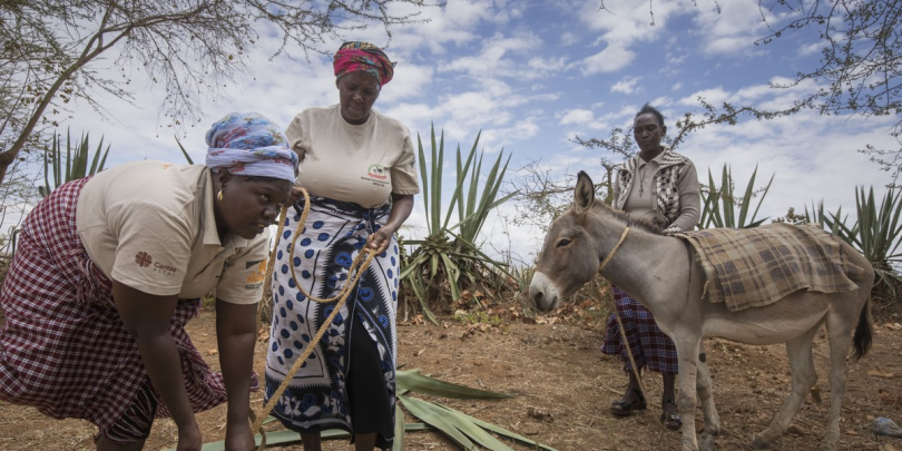 women donkeys kenya 2019