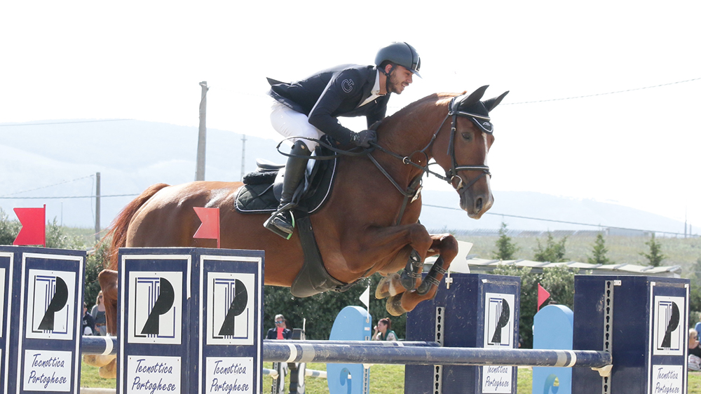 3 Genuardi La Peppa horsesphoto