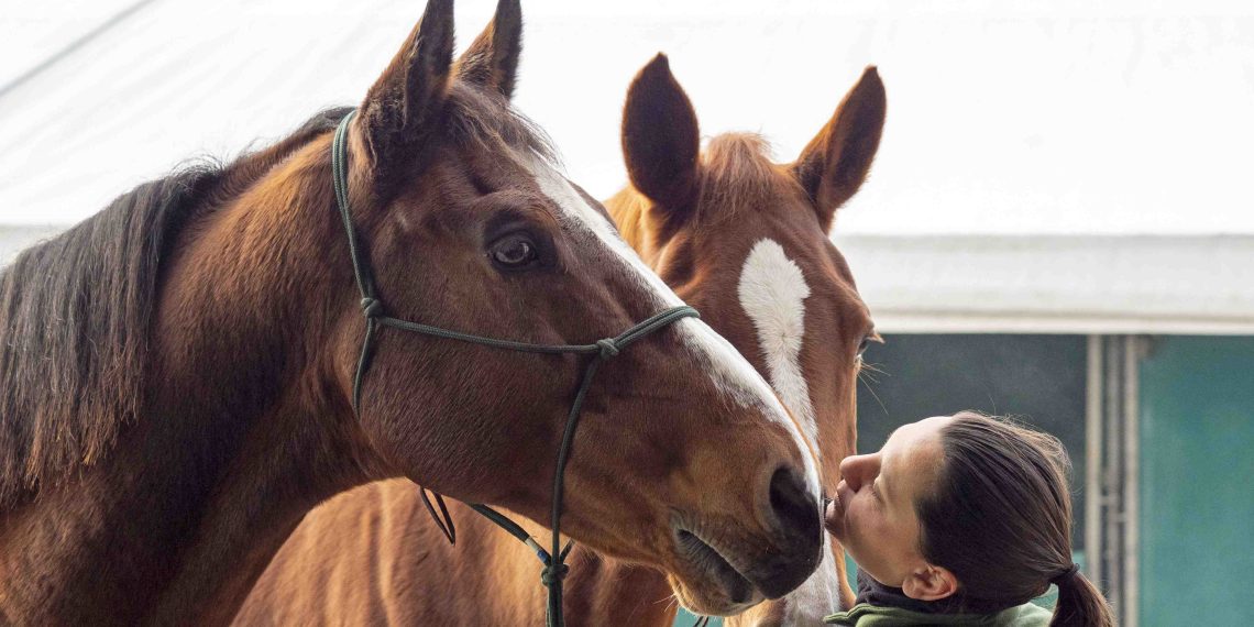 Fieracavalli On Tour: il viaggio verso la 127° edizione