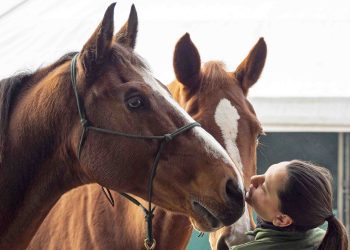 Fieracavalli On Tour: il viaggio verso la 127° edizione