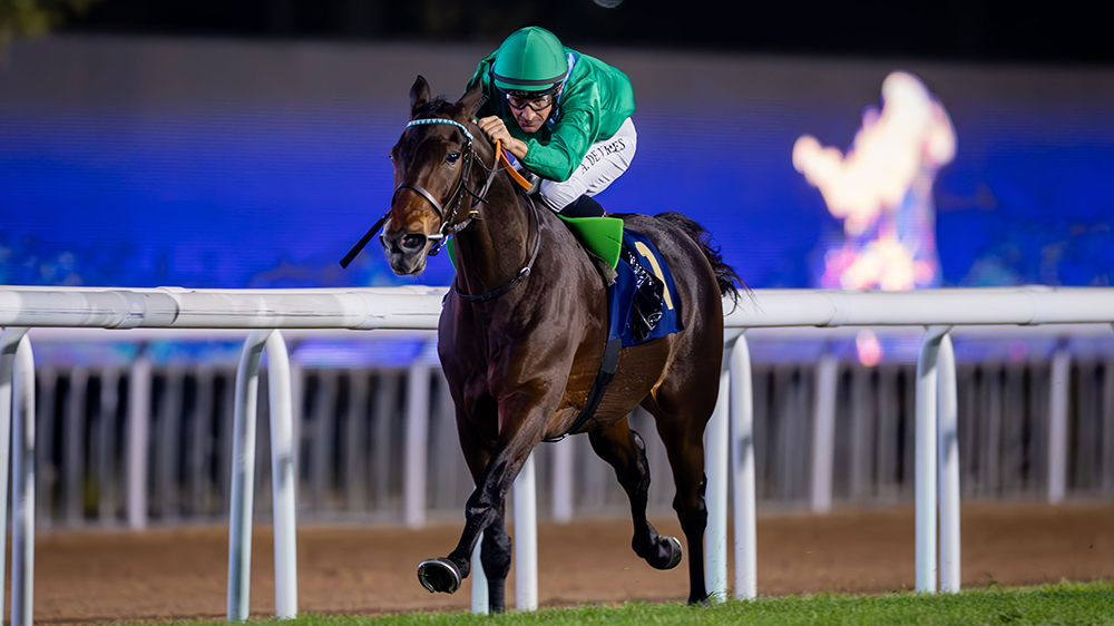 Uae President Cup: iscritti eccellenti a Capannelle