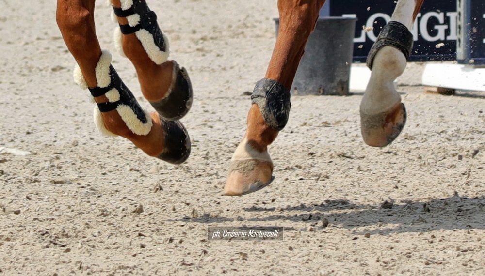 Versilia Horse Show: paura per Stefano Margheriti