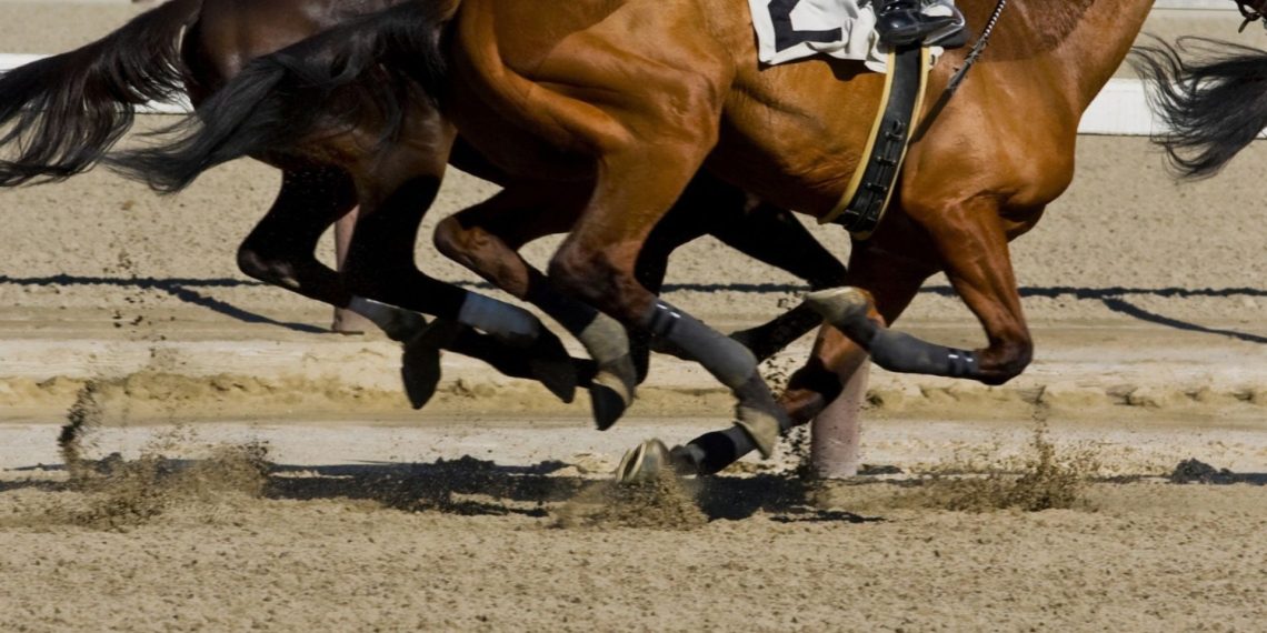 Monteroni d’Arbia: la pista “quattro stagioni” per i cavalli da Palio
