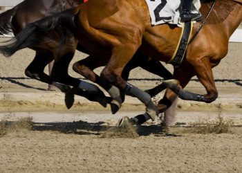 Monteroni d’Arbia: la pista “quattro stagioni” per i cavalli da Palio