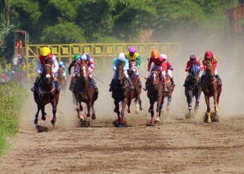 Ippica in Sardegna a rischio