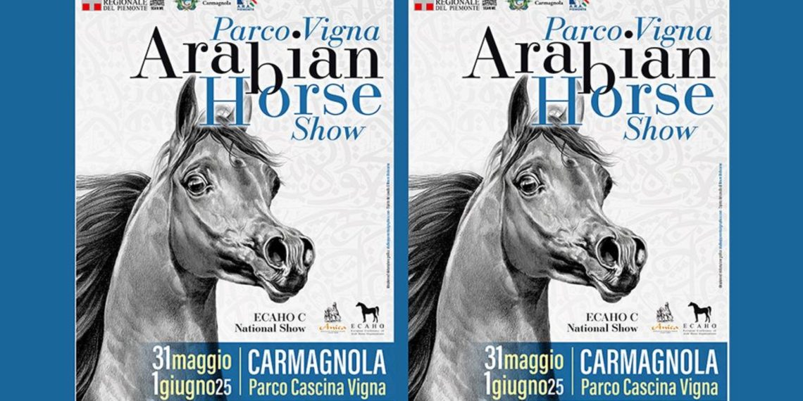 Arabian Horse Show 2025 a Carmagnola
