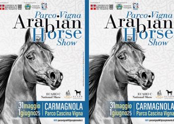 Arabian Horse Show 2025 a Carmagnola