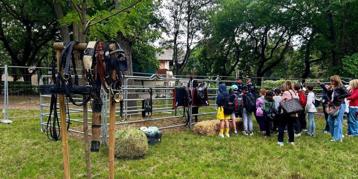 Pony City a Piazza di Siena: un’esperienza educativa a 360°