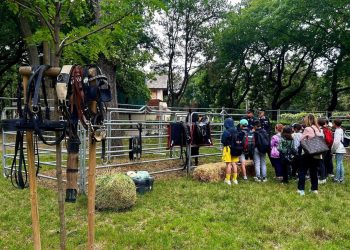 Pony City a Piazza di Siena: un’esperienza educativa a 360°