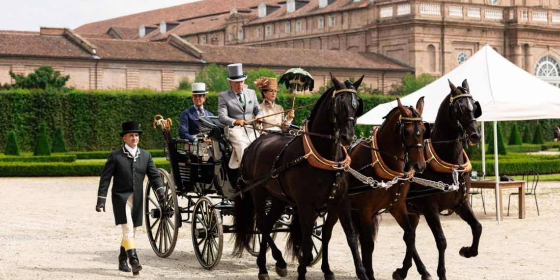 Eleganza in carrozza