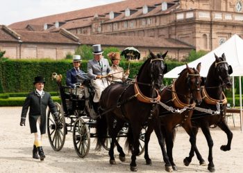 Eleganza in carrozza