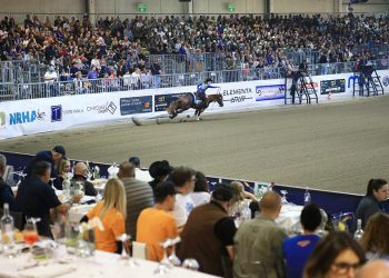 Salone del Cavallo, domani si parte!