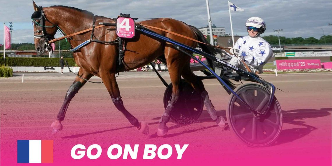 Dominio francese nell’Elitloppet