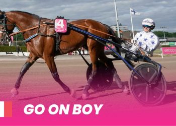 Dominio francese nell’Elitloppet