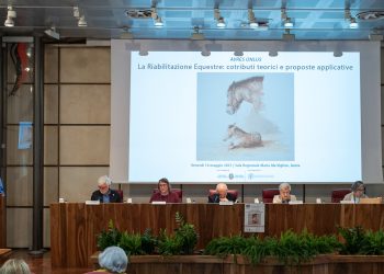 FISE VdA: la forza terapeutica del cavallo