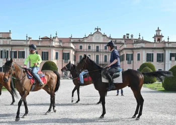 Varese, le Bettole: per colpa di pochi ci rimettono tutti i cavalli