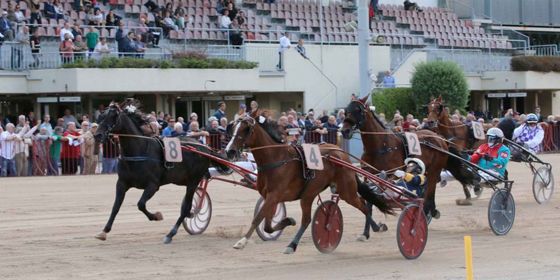Il Gp della Repubblica, evento clou all’Arcoveggio