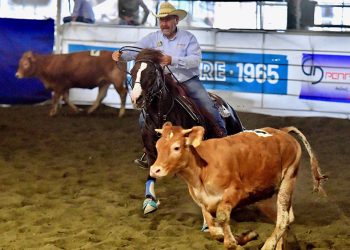 Team penning: Derby & Futurity!