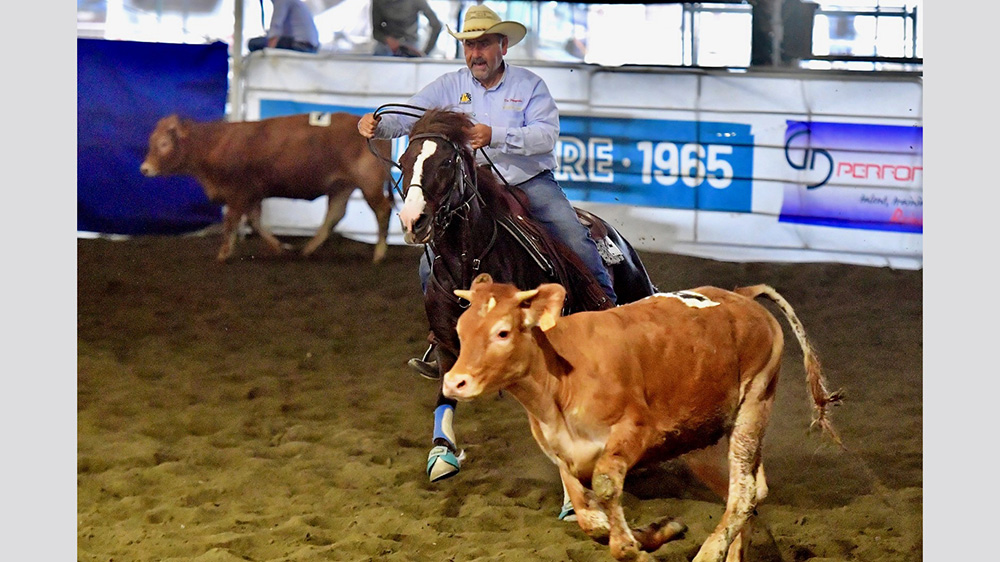 Team penning: Derby & Futurity!