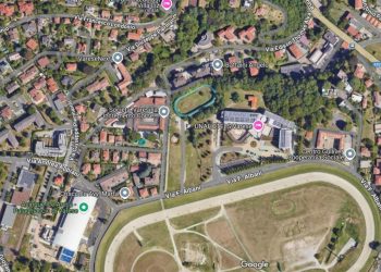 Varese, proteste e strumentalizzazioni: unici a tacere i cavalli