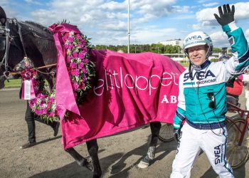 L’Elitloppet, la super classica di Svezia