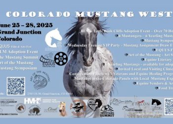 Colorado Mustang West e Wild Horse Adoption