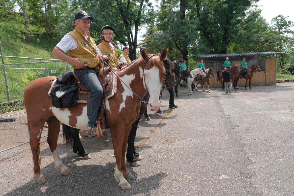 Equivia_Fieracavalli_180625_0027 Equivia Fieracavalli 180625 0027 1024x683