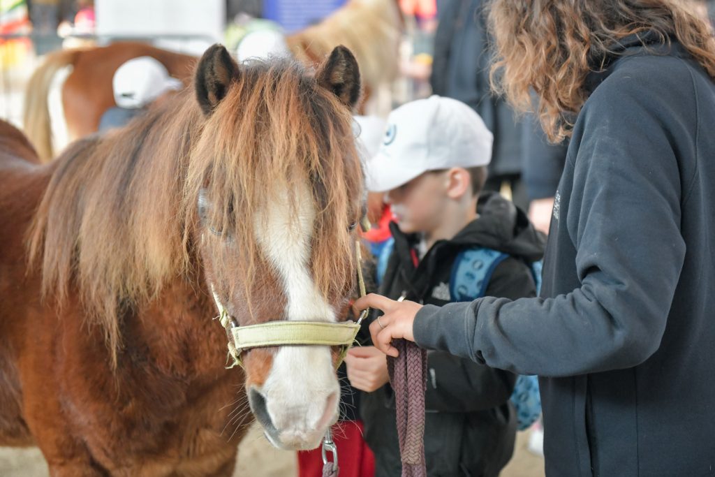 Fieracavalli2024 Veronafiere EnneviFoto 9984 1024x683