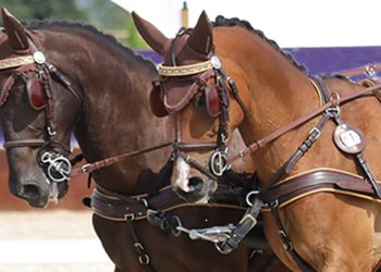 Azzurri all’estero nel weekend