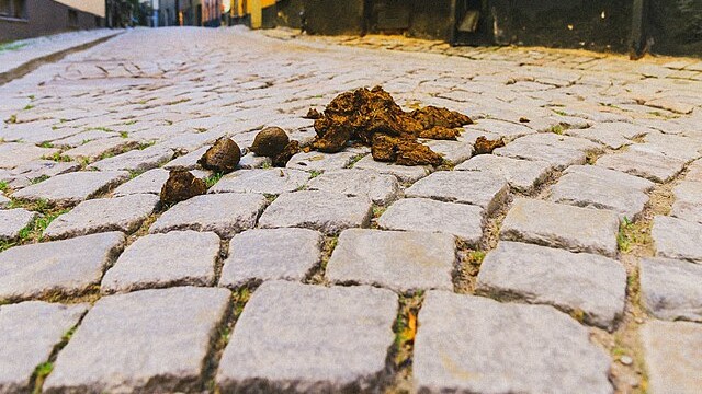 Ponte Buggianese, o di quanto può far male una fianta