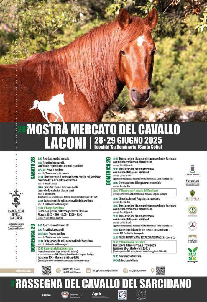 LOCANDINA LACONI 2025 1 702x1024