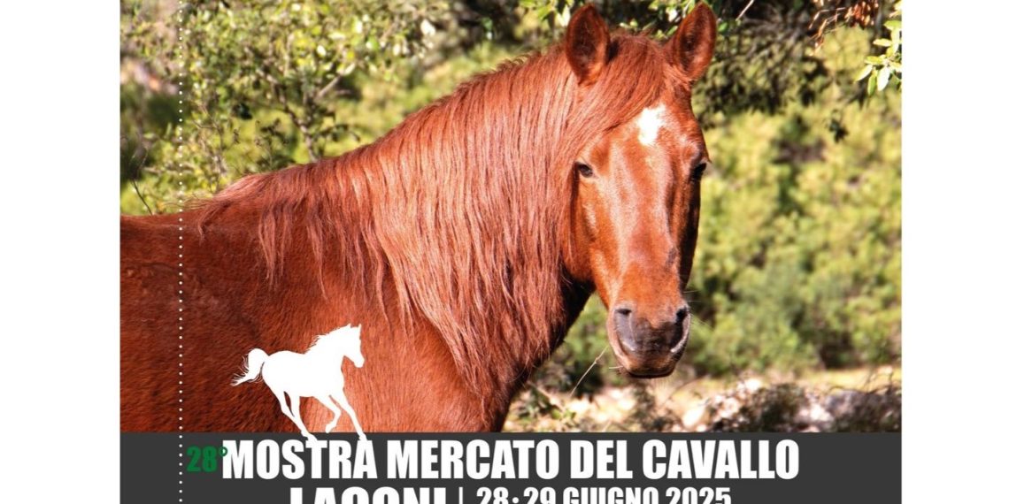 Laconi, III Rassegna del Cavallo del Sarcidano al via