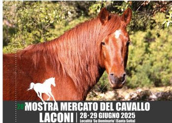Laconi, III Rassegna del Cavallo del Sarcidano al via