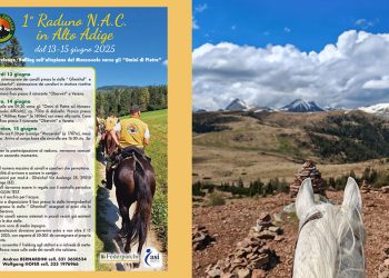 Haflinger, un trekking con i padroni di casa